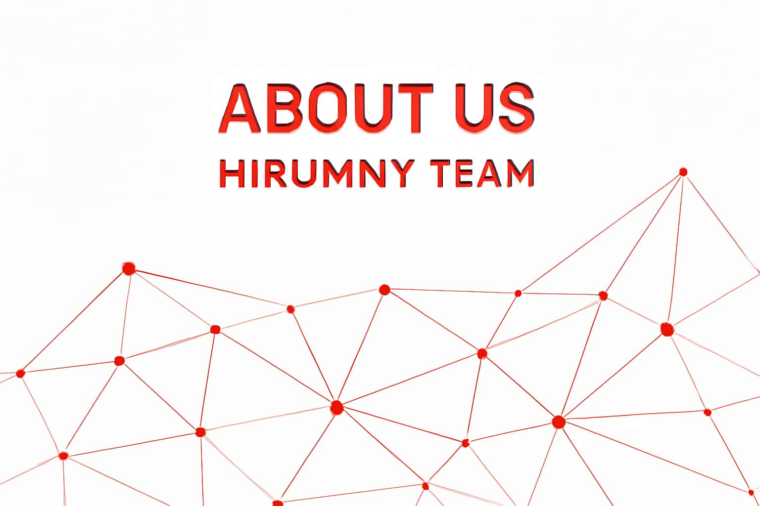 About Us - Hirummy Team Interface